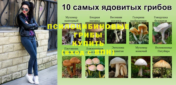 героин Бородино